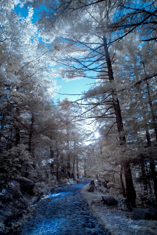 Mohonk Mountain upstate NY in IR