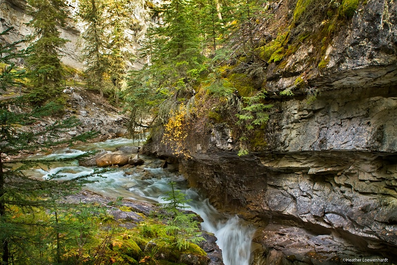 Johnston Canyon