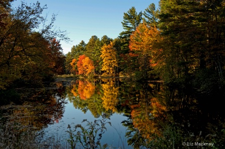 New England's Autumn Reflection