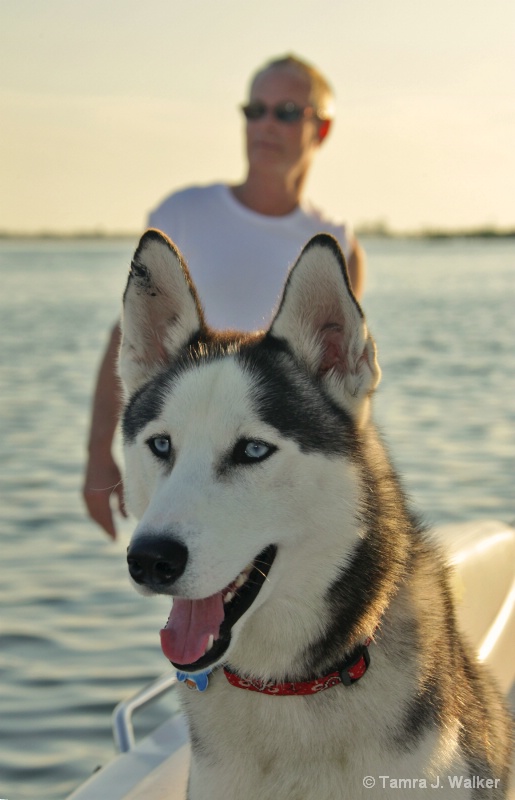 Man & his Best Friend