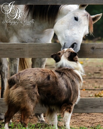 Nose to Nose