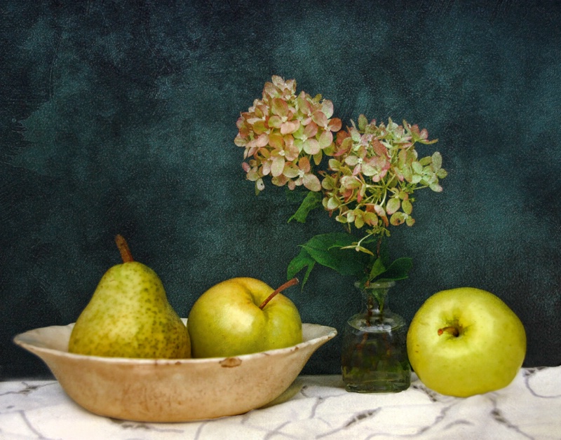 Apples, Pear and Hydrangea