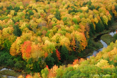 Shades of Autumn