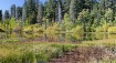 Hidden Pond