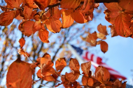 FALL FLAG