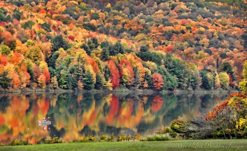 Basking in Autumn's Blanket