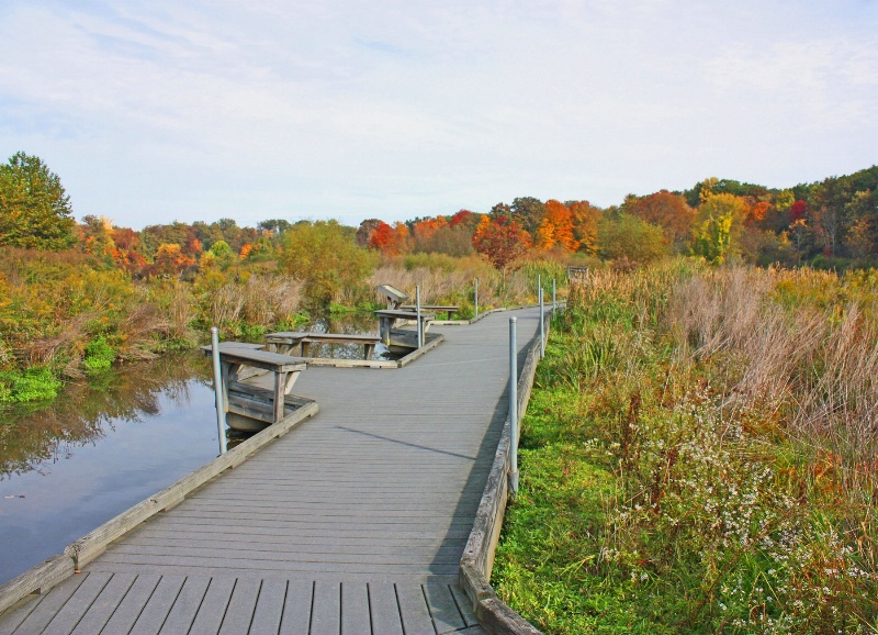 On The Boardwalk