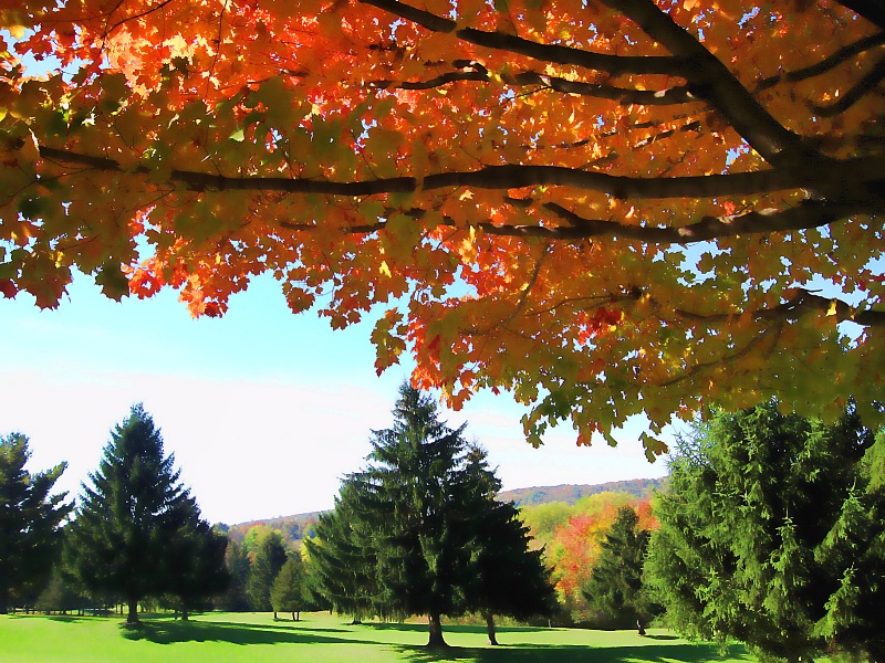 autumn in New York