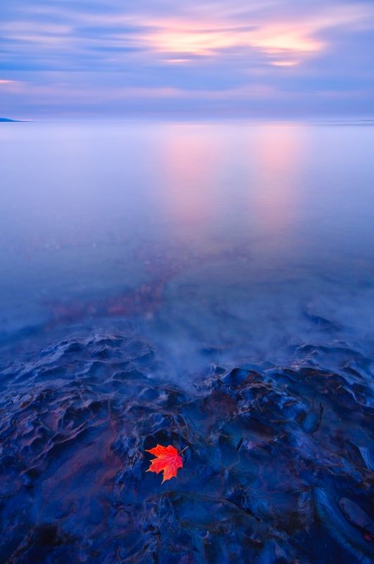 The last light