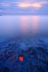 The last light