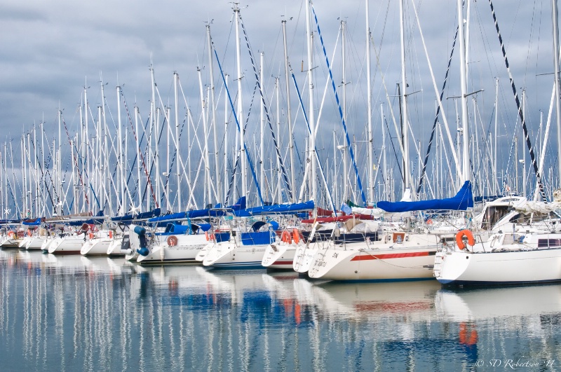 Sea of Masts