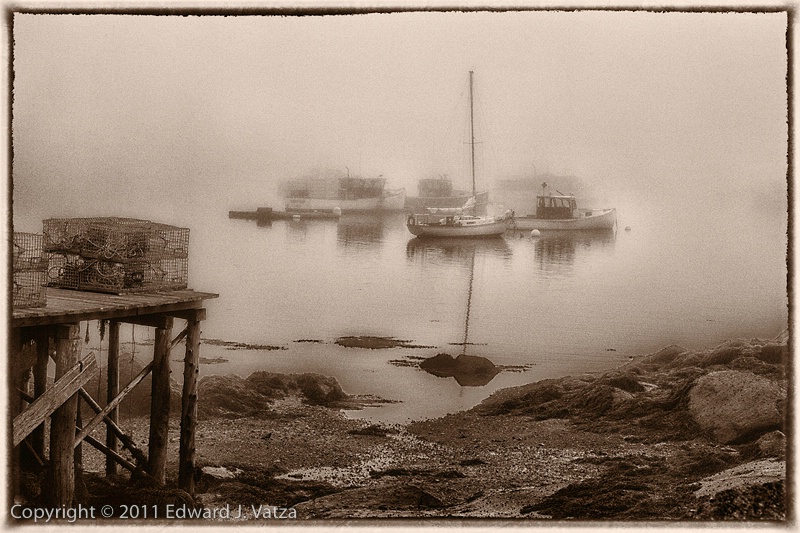 Foggy Harbor