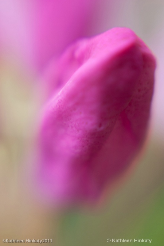 Lensbaby pink