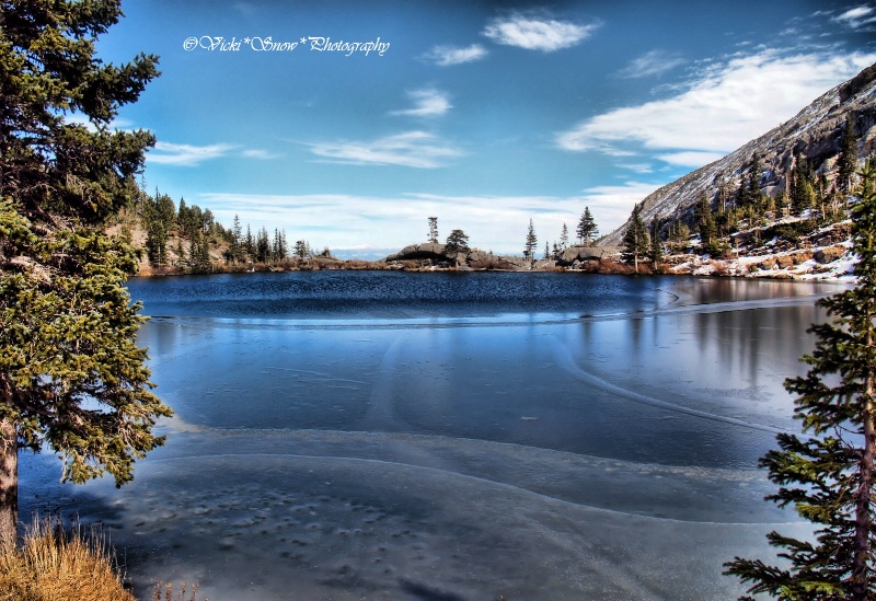 Lower Bushnell Lake