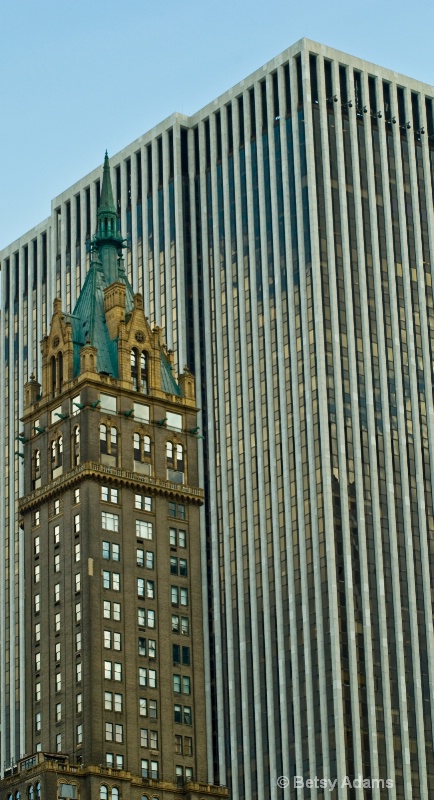 Fifth Avenue Buildings