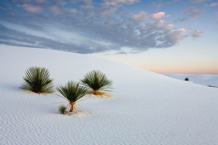 White Sands NM