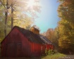 "A walk on St...
