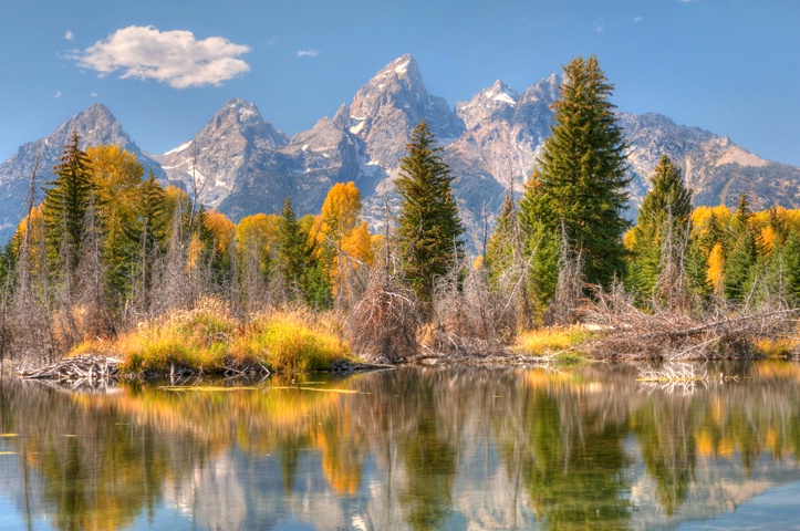 Schwabacher