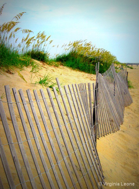 Along the Beach