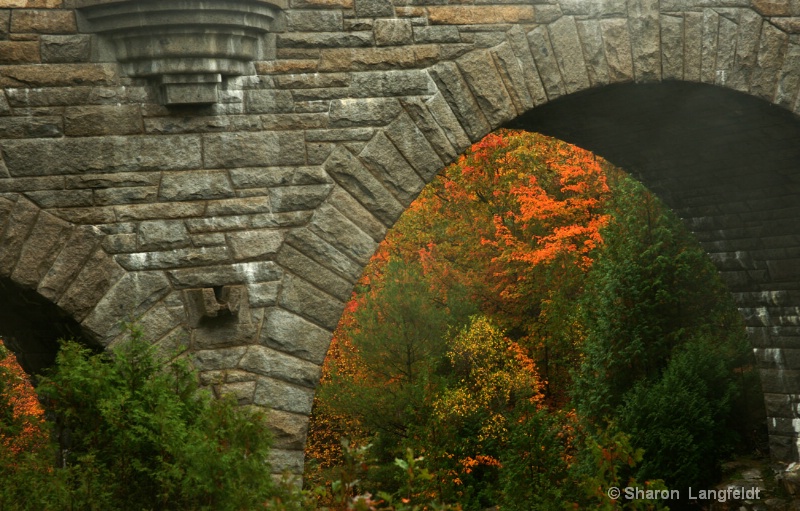 Autumn Portal