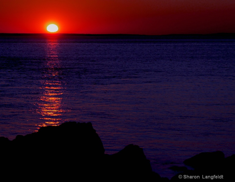 Acadia Sunset - ID: 12386063 © Sharon L. Langfeldt