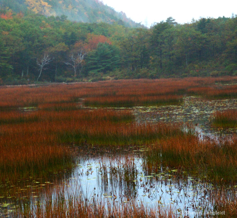 Foggy Day on the Tarn - ID: 12386064 © Sharon L. Langfeldt