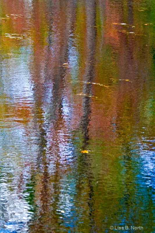 A water Canvas - Pond Reflections
