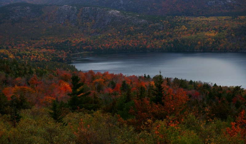 Leaves, Lake and a Foggy Day