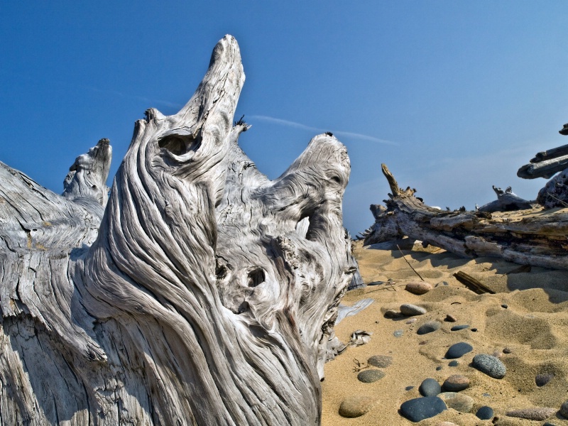 Whitefish Point Beach