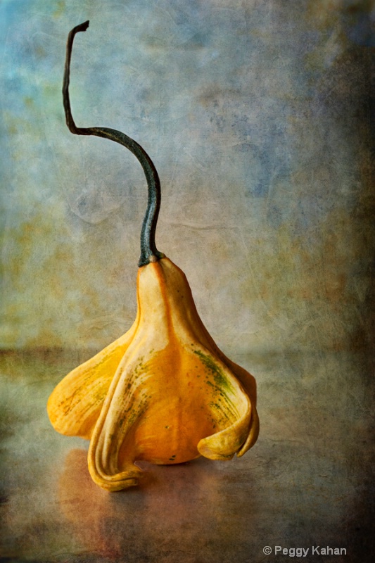 Gourd with a Queue