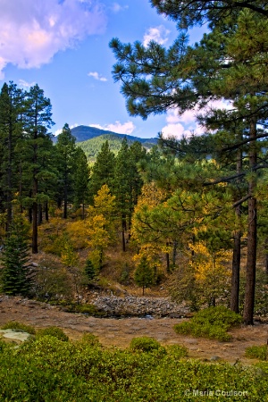 Fall in the Sierras