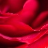 2soft - ID: 12396620 © Stefania Barbier