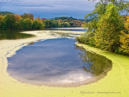 Pond in a Lake