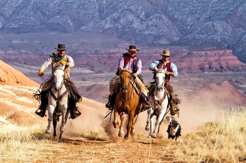 Racing Cowboys