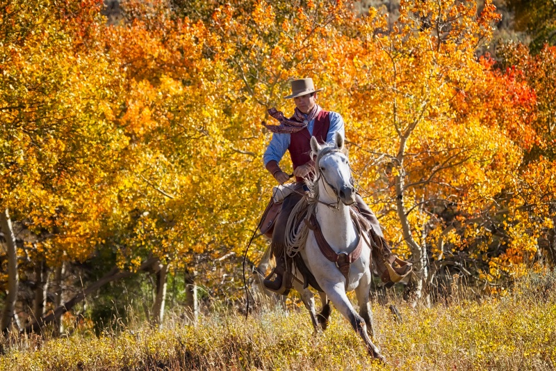 Fall in Wyoming