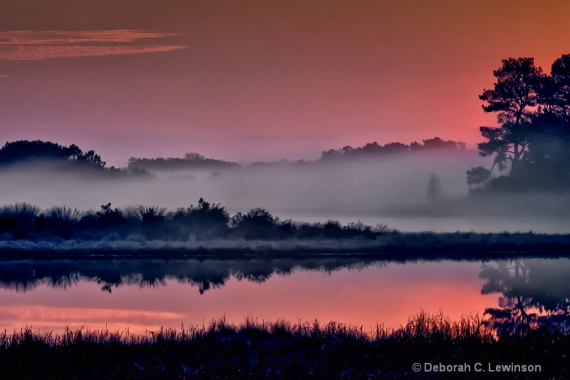 Chincoteague Dawn - ID: 12399077 © Deborah C. Lewinson