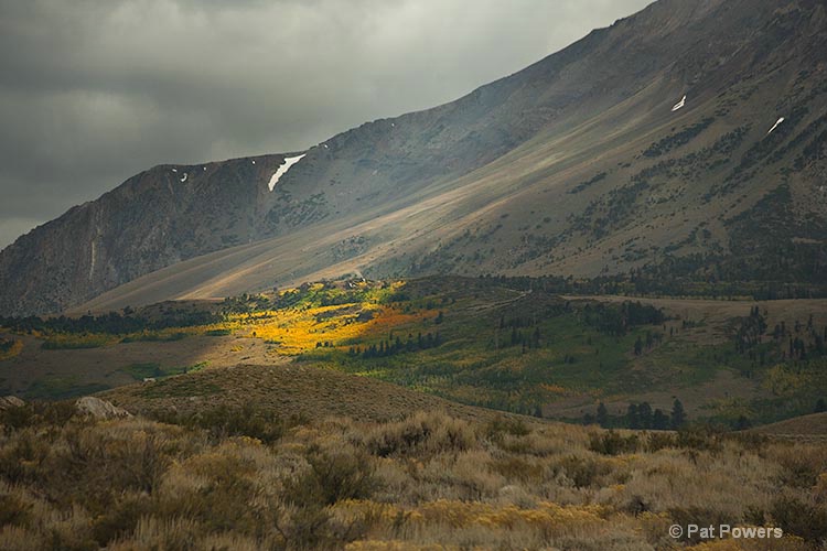 Fall Spotlight, Eastern Sierras - ID: 12405040 © Pat Powers