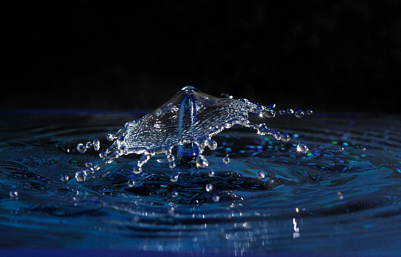 Water Drip Surprise - ID: 12405539 © Rita Hill
