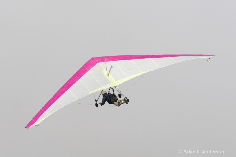 Pink Hang Glider 1