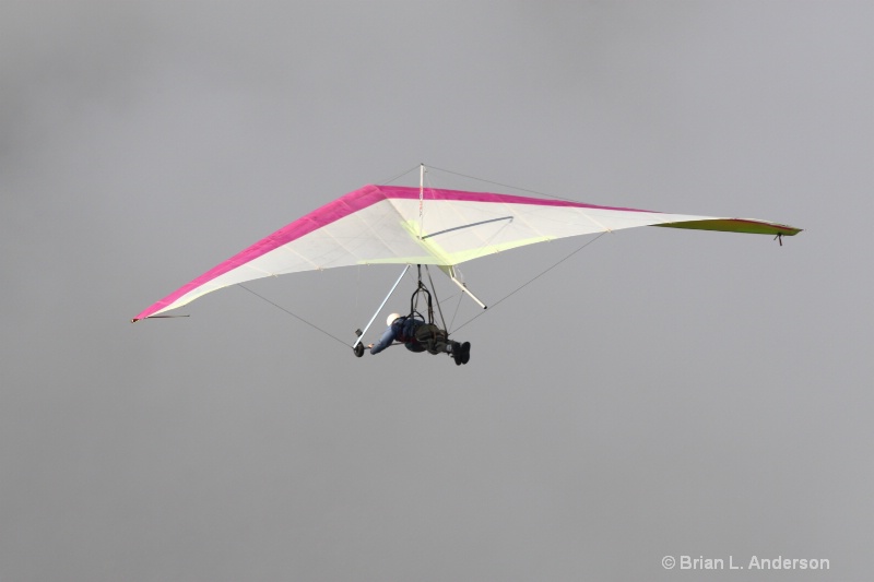 Pink Hang Glider 2