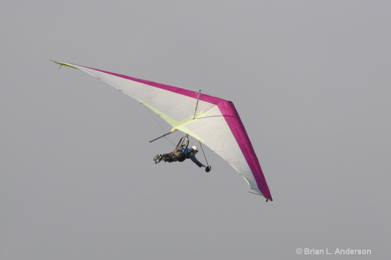 Pink Hang Glider 3
