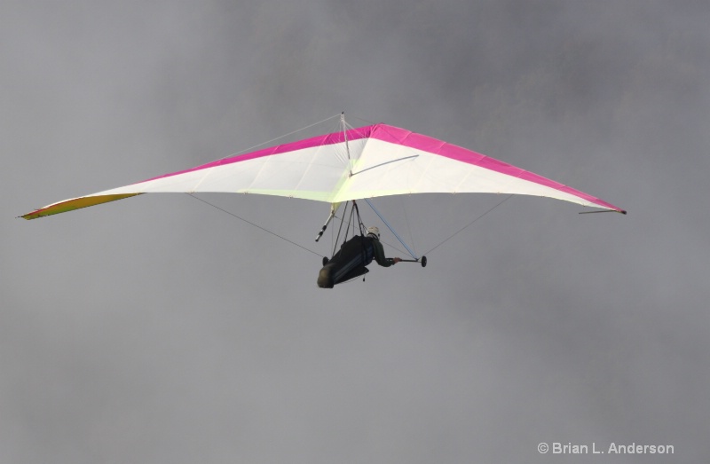 Pink Hang Glider 4