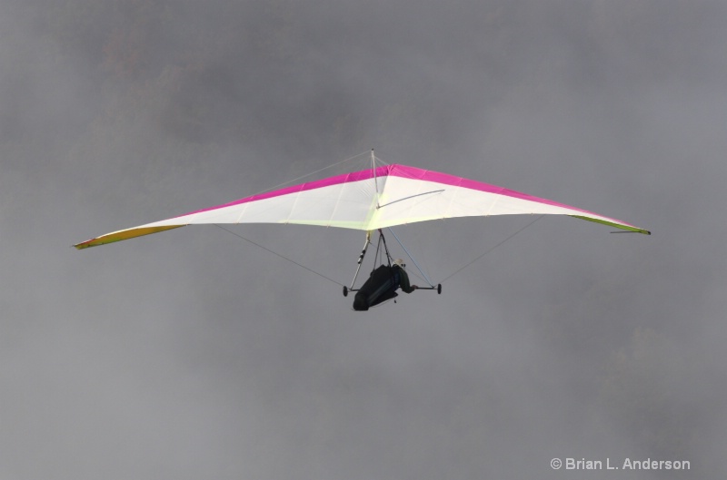 Pink Hang Glider 5