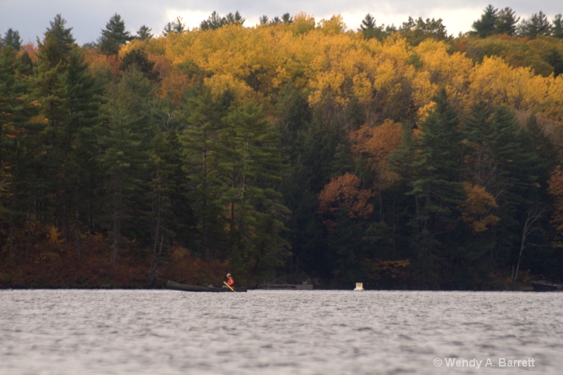 Late October on Conway Lake, NH - ID: 12405846 © Wendy A. Barrett