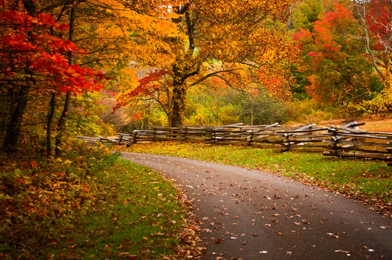 Blue Ridge Parkway