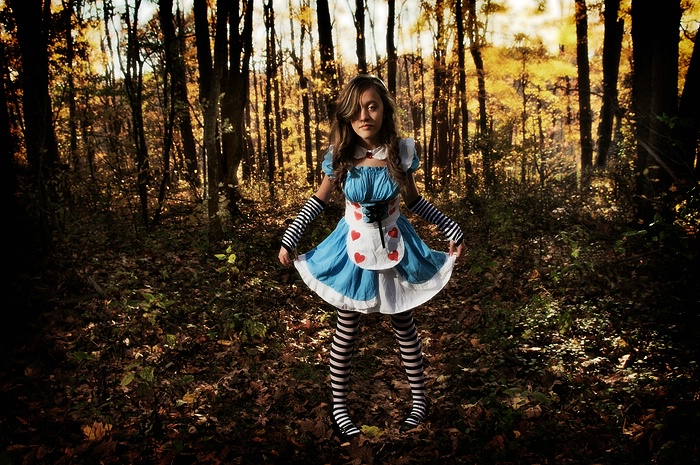 Taylor In Wonderland