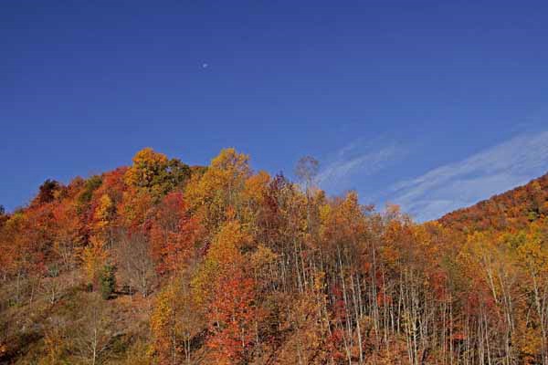 autumn mountaintop with moon - ID: 12408835 © Donald E. Chamberlain