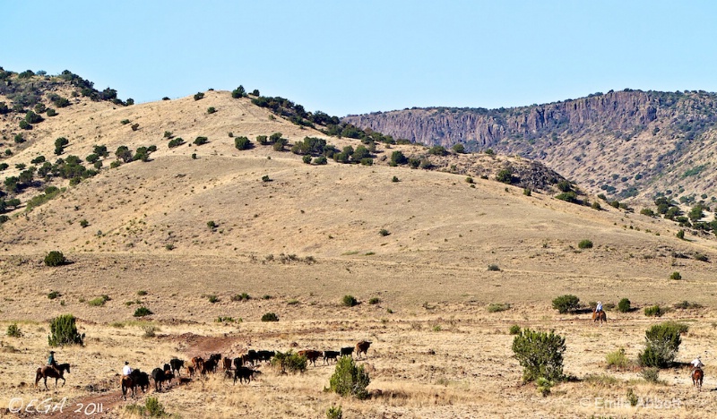 Dry arid terrain of 06 Round-Up - ID: 12409286 © Emile Abbott