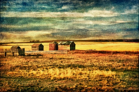 Prairie Memories