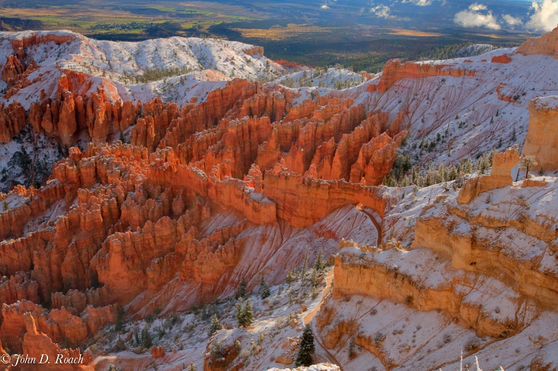 Early Morning in Bryce Canyon
